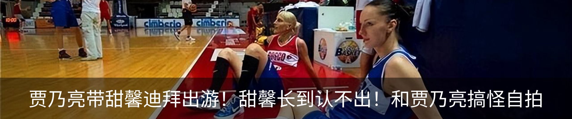 最新动态